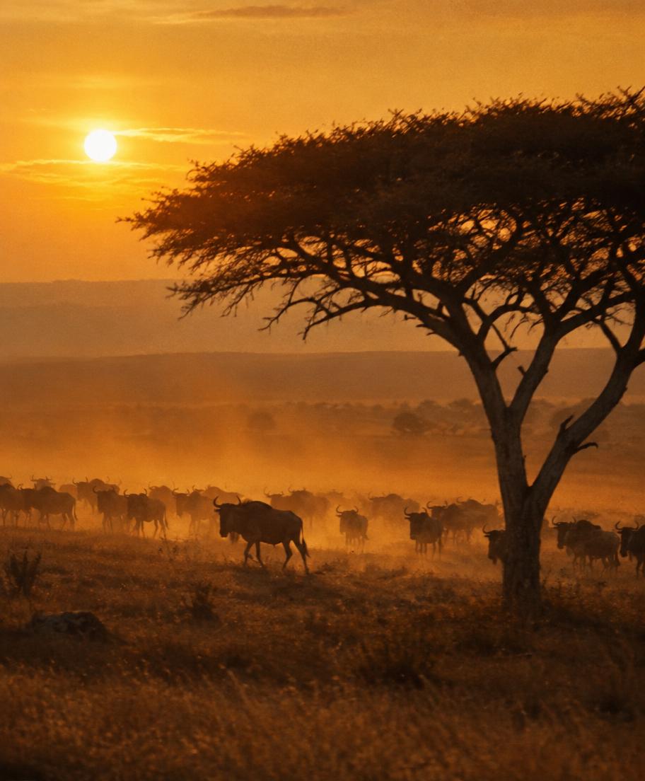 Tanzania